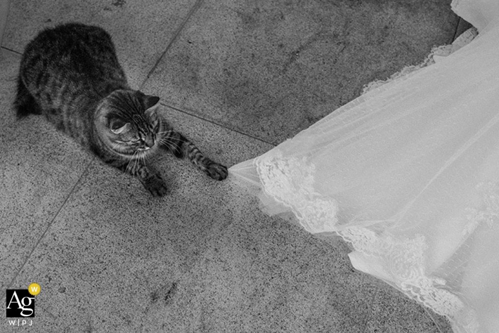 Prêmios internacionais de fotografia de Claudia Ruiz. Fotos de família, gestante, parto e casamento, premiadas pelas mais importantes associações do mundo.