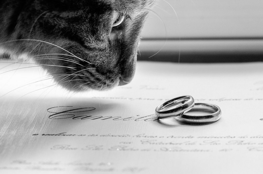 Fotografia de casamento registrada de maneira artística e espontânea. A história do dia mais especial da sua vida pela fotógrafa premiada Claudia Ruiz.